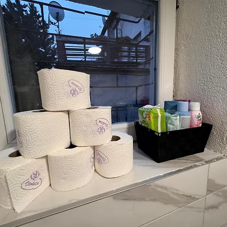 A&e Old Town Apartment Sarajevo